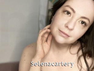 Selenacartery