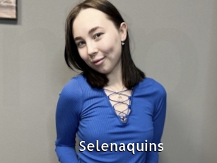 Selenaquins
