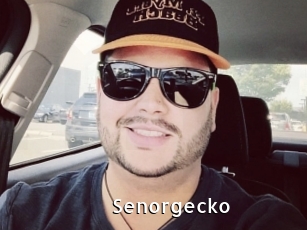 Senorgecko
