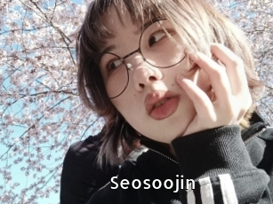 Seosoojin