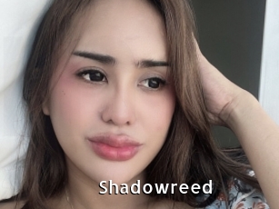 shadowreed My Porno Stash