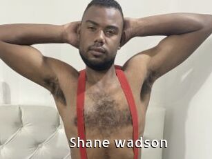 Shane_wadson