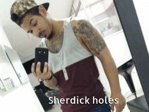 Sherdick_holes