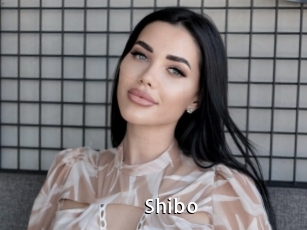 Shibo