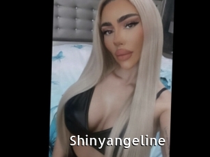 shinyangeline My Porno Stash
