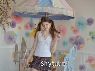 Shytulip