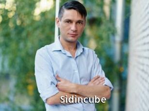 Sid_incube
