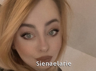 Sienaelarie