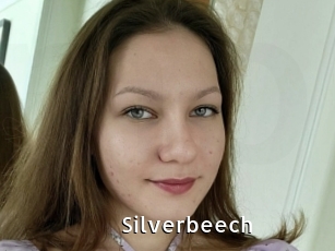 Silverbeech
