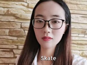 skate My Porno Stash