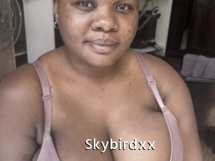 Skybirdxx