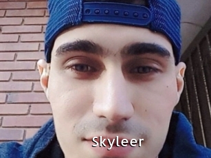 Skyleer