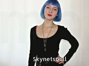 Skynetsoull