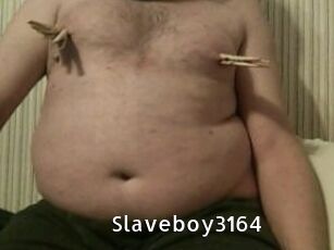 Slaveboy3164