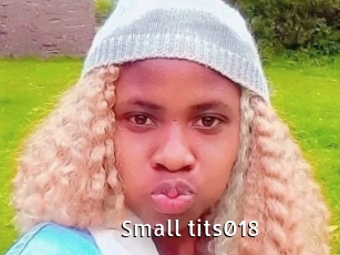 Small_tits018
