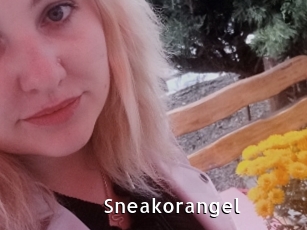 Sneakorangel