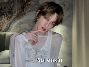 sorenkai My Porno Stash