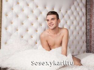 Sosexykarllfu