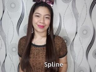 Spline