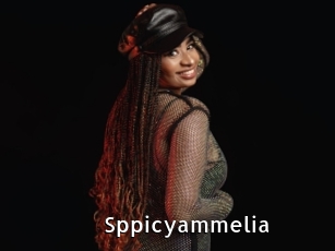 Sppicyammelia