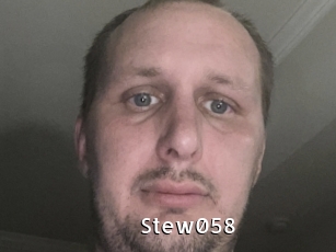 Stew058