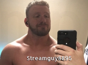 Streamguy8895