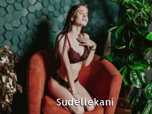 Sudellekani
