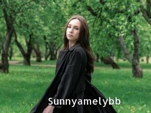 Sunnyamelybb