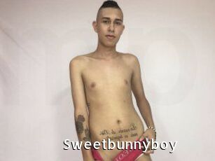 Sweet_bunny_boy