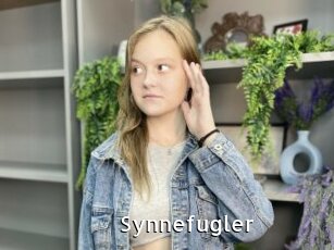Synnefugler