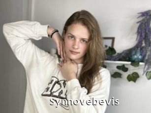 Synnovebevis