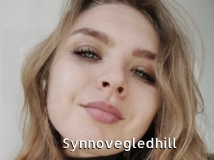 Synnovegledhill