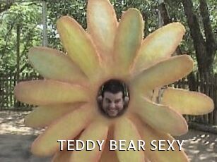 TEDDY_BEAR_SEXY