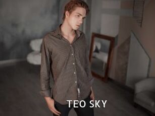 TEO_SKY