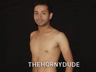 THEHORNYDUDE