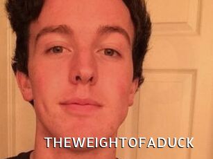 THEWEIGHTOFADUCK