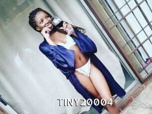 TINY20004
