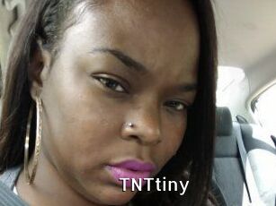 T_N_Ttiny