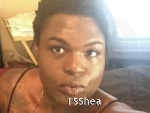 TS_Shea
