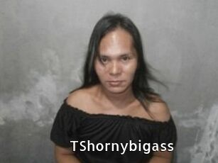 TShornybigass