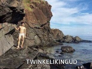 TWINKELIKINGUD