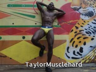 TaylorMusclehard