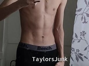 TaylorsJunk