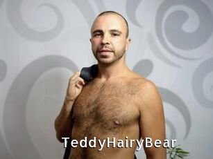 TeddyHairyBear