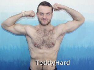 TeddyHard