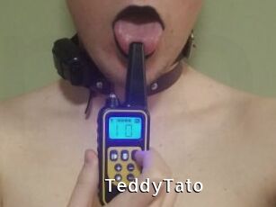 TeddyTato