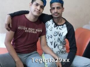 Tegusta29xx
