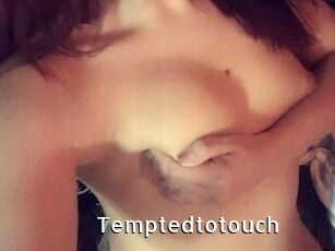 Temptedtotouch
