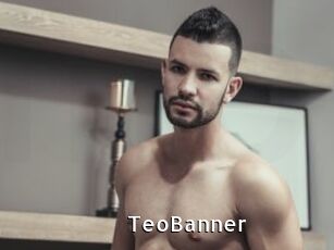 TeoBanner