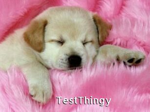 TestThingy